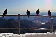 Sulle nevi del RESEGONE ad anello da Fuipiano Valle Imagna il 13 novembre 2019 - FOTOGALLERY